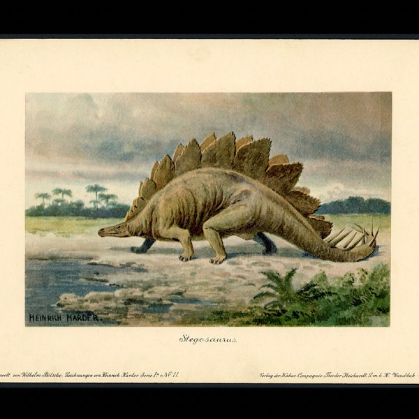 c. 1902 STEGOSAURUS lithograph • original antique print • dinosaur print • fossil reptiles - extinct animal - prehistoric animal • by Harder