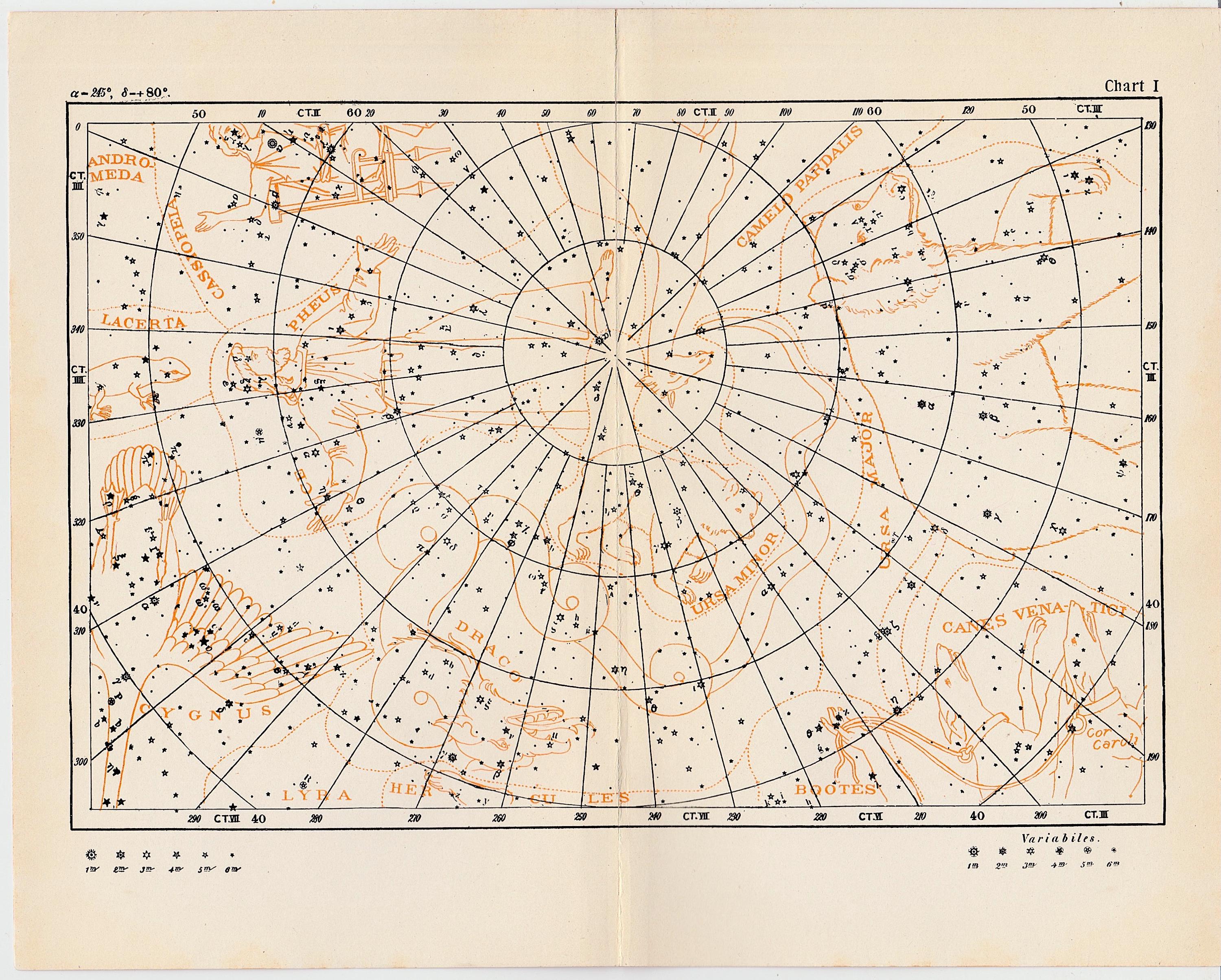 STAR CHART I C. 1908 • Original Antique Print • Celestial Constellation ...