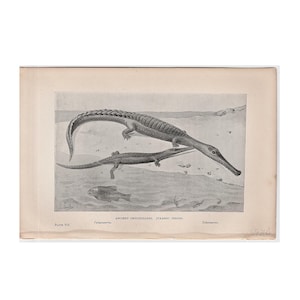 c. 1892 DINOSAUR • CROCODILAINS lithograph • original antique print • prehistoric animals • Jurassic period • paleo art • extinct! reptile