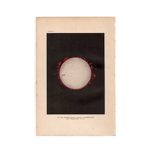 c. 1897 THE SUN print • original antique print • astronomy print • sunspots • solar prominences • solar flares • facula print