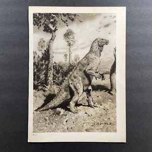 c. 1960 PREHISTORIC ANIMALS lithograph • original vintage print • extinct animals • dinosaur scene • Paleo Art • Iguanodon