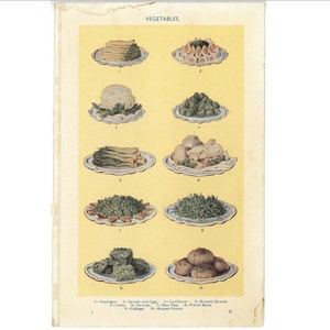 C. 1912 Litografia VERDURE • stampa antica originale • stampa di cibo • Libro della gestione domestica di Mrs Beeton • stampa di cucina • verdura