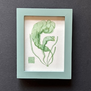 framed c.1872 GREEN SEAWEED print • original antique print • sea life • phycology • marine algae • British Sea Weeds • sea flora •