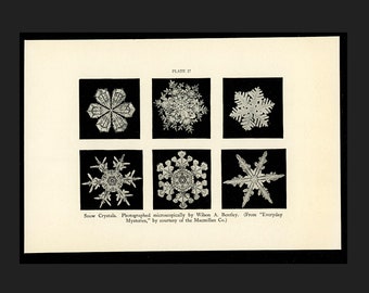 c. 1934 SNOW CRYSTALS lithograph • original vintage print • weather print • winter snow flakes print • winter weather print • snow print