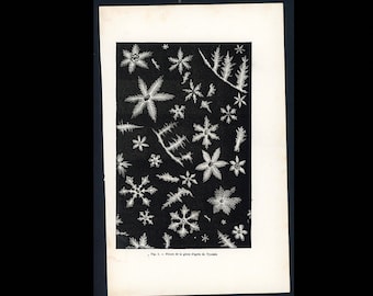 c. 1870 SNOW CRYSTALS lithograph • original antique print • weather print • winter snow flakes print • winter weather print • snow print