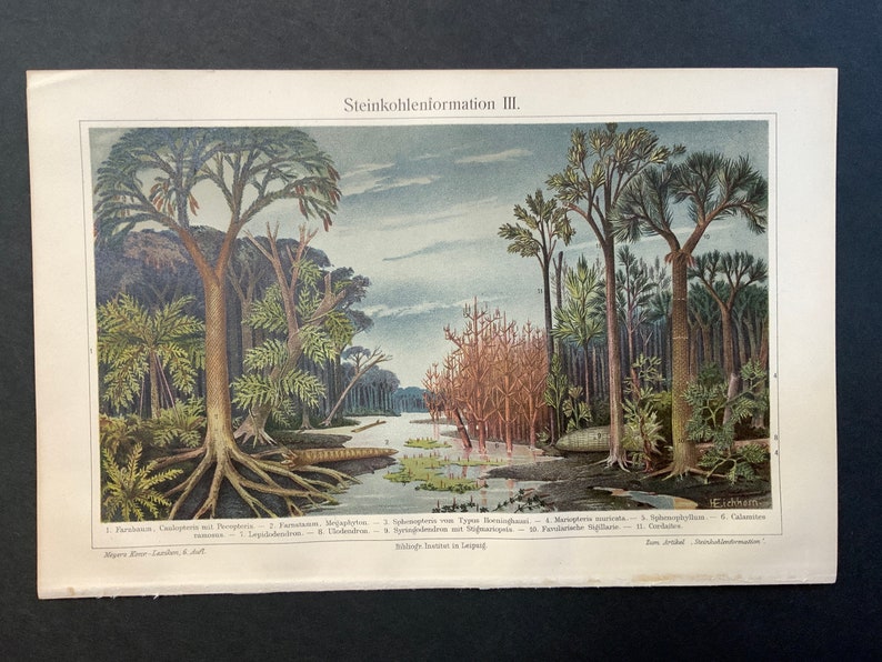 c. 1890 COAL FORMATION print original antique print fossil fuel print exotic landscape print ancient landscape prehistoric scenery image 4
