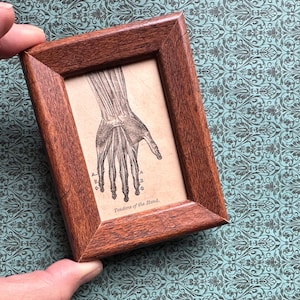tiny! c. 1884 FRAMED HAND lithograph • original antique print • human anatomy print • hand anatomy • in frame and ready to display!