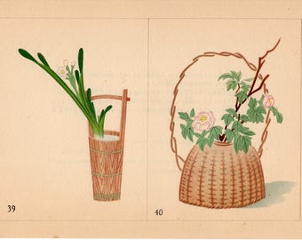 C. 1933 IKEBANA BOTANICAL Lithograph • Original Vintage Print
