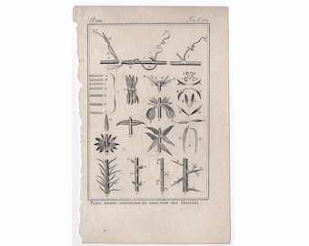 c. 1775 Grabado botánico antiguo • Impresión antigua original • Botánicos de Buffon • Impresión de plantas, flores y jardín • Impresión botánica • Tallos