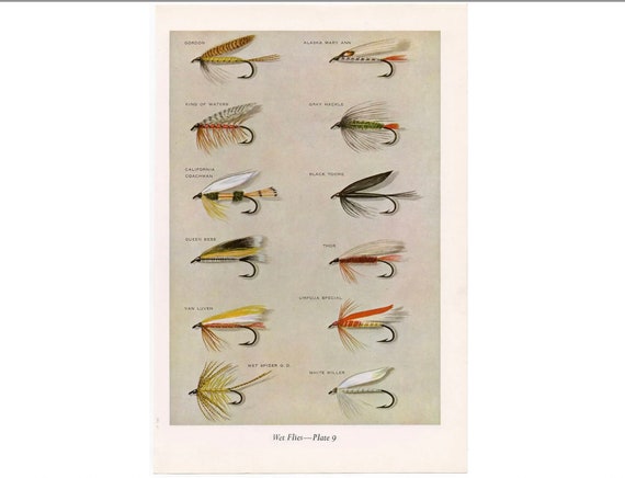 C. 1963 WET FLIES Fly Fishing Lithograph Original Vintage Print Fresh Water  Fishing Angling Trout Salmon Bass Bait Fly Tying 