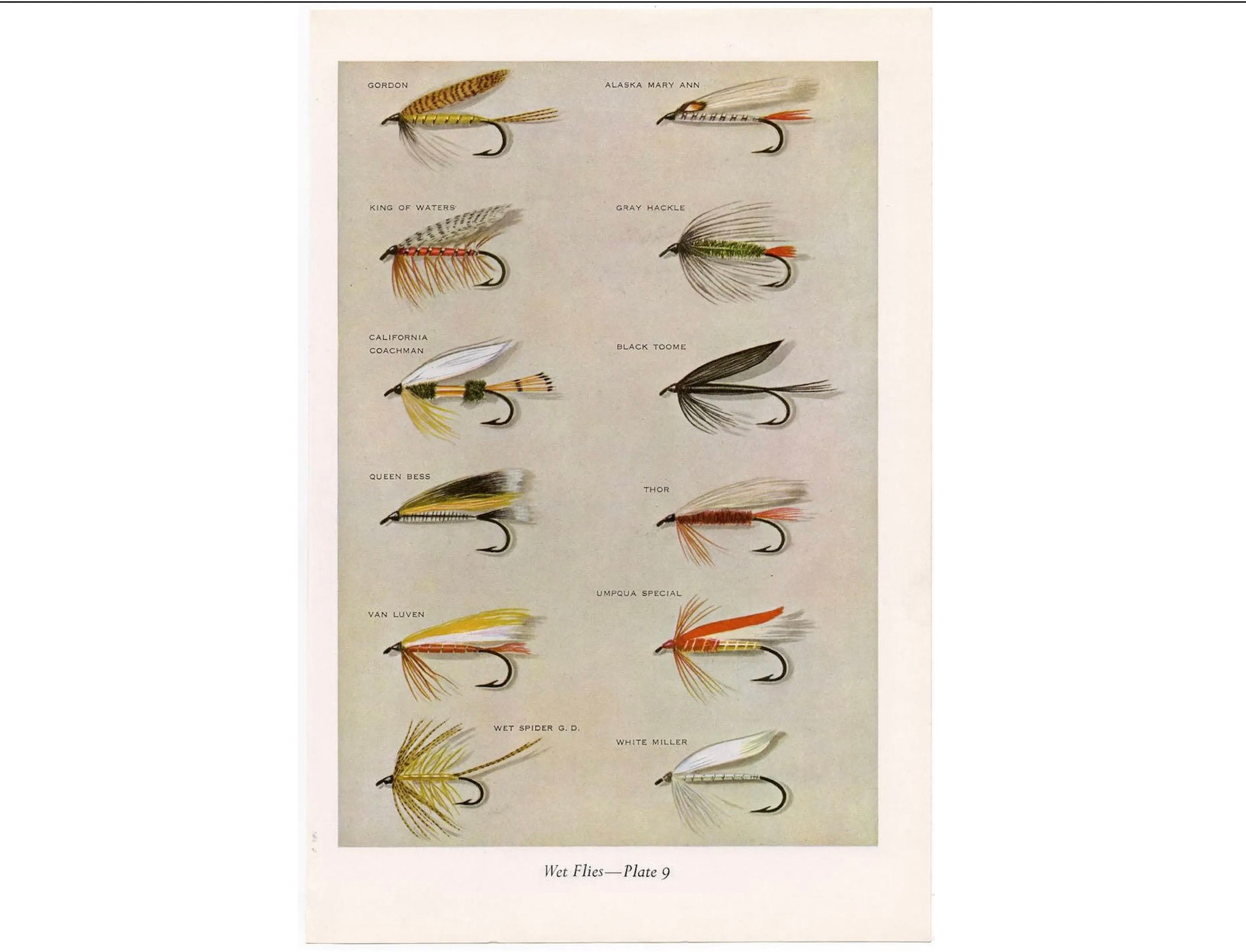 Trout Flies Vintage Fishing Digital Poster favorite Flies and Their  Histories by Mary Orvis Marbury. Gift for Dad Man Fisherman Cabin 