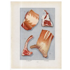 c 1911 MEAT lithograph - original antique print • butcher • cuts of meat • leg of lamb print • BBQ print • grilling print • kitchen art