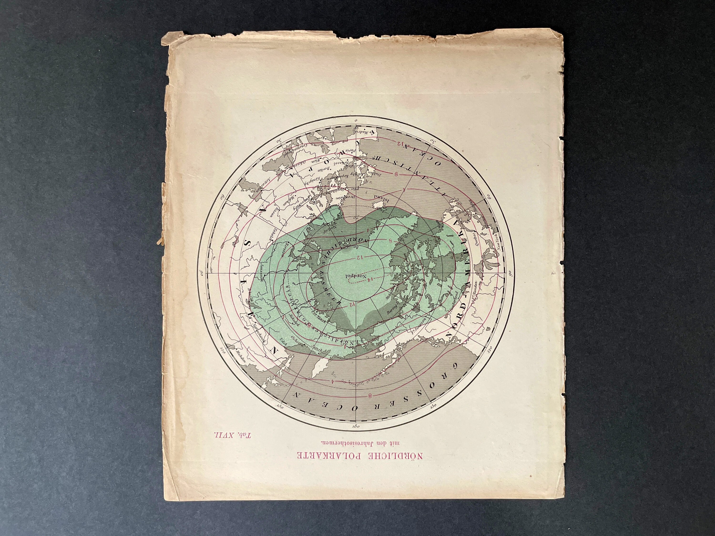 c. 1865 NORTH POLE map • original antique print • astronomy print • Polar star print • Northern hemisphere • with annual isotherms