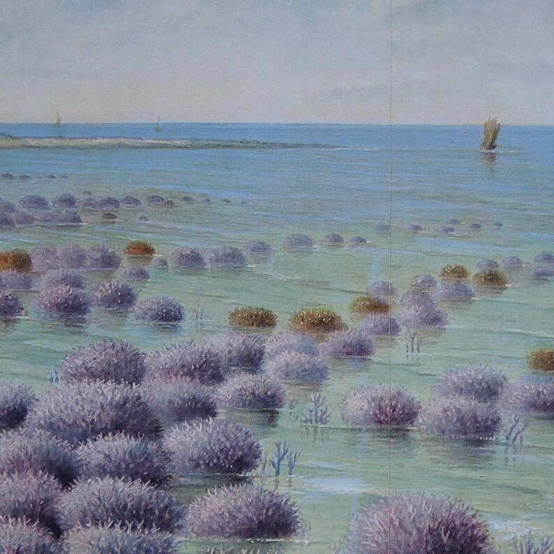 May include: A watercolor painting of a seascape with a distant shoreline and a light blue sky. The foreground features a field of purple, round, flower-like plants growing in shallow water.