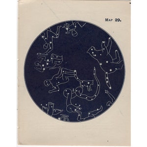 H. 1901 NORDPOL STERNE Lithographie • original vintage • Sternenkarten Konstellationen - Sternenkarte - Lyra Perseus Ursa Hercules Cassiopei