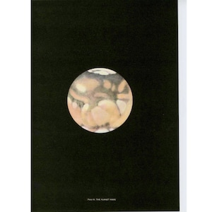 c. 1959 PLANET MARS Lithographie • Original Vintage Druck • Astronomie Druck • Planeten Druck • Himmelsdruck