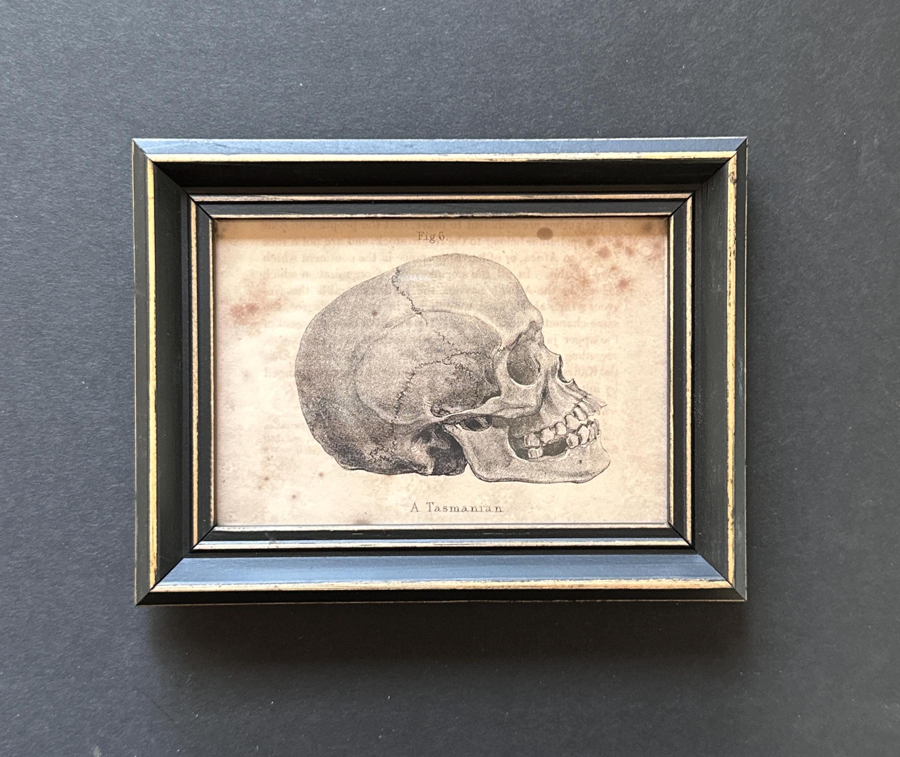 C. 1837 FRAMED SKULL Lithograph • Original Antique Print • Human ...