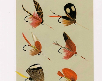 c. 1988 LAKE FLIES lithograph • original vintage print • fly fishing print • Orvis print • fly tying print • with lake flies on reverse