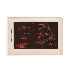c. 1884 SOLAR PROMINENCES print • original antique print • astronomy print • Sun print • solar flares • various forms of sun prominences