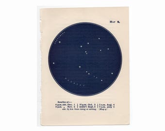 c. 1948 PEGASUS CONSTELLATION STARS lithograph - mini constellation map - original vintage print - celestial astronomy - andromeda no. 9