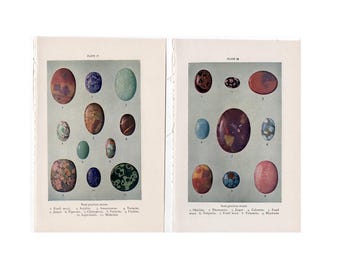 HALF EDELSTEEN prints c. 1934 • originele vintage prints • edelstenen edelstenen • sieradenprints • mineralogieprints • set van 2