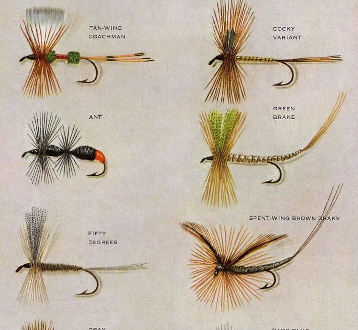 C. 1963 DRY FLIES Fly Fishing Lithographs Original Vintage Prints Fresh  Water Angling Trout Salmon Bass Fly Tying Set of 2 -  Canada