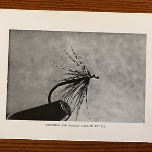 May include: A black and white fly fishing lure with a brown and white feather pattern. The lure is tied to a fishing rod and the text "Partridge and Orange Hackled Wet Fly" is printed below the lure.