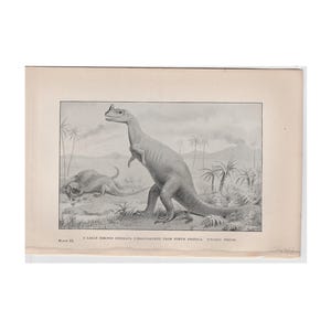 c. 1892 DINOSAUR • CERATOSAURUS lithograph • original antique print • prehistoric animals • Jurassic period • paleo art • extinct!
