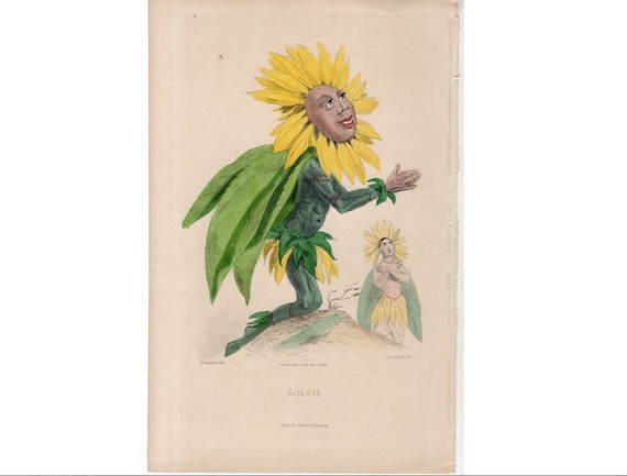 C. 1867 SUN FLOWER PERSONIFIED Engraving • Original Antique Print