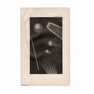 C. 1879 COMETS print • original antique print • astronomy print • celestial • Encke&#39;s comet • Halley&#39;s comet • Biela&#39;s comet print