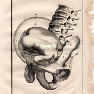 c. 1739 BABY IN WOMB engraving • original antique print • female anatomy • Mother&#39;s Day gift • pregnant mother • childbirth print • fig 28