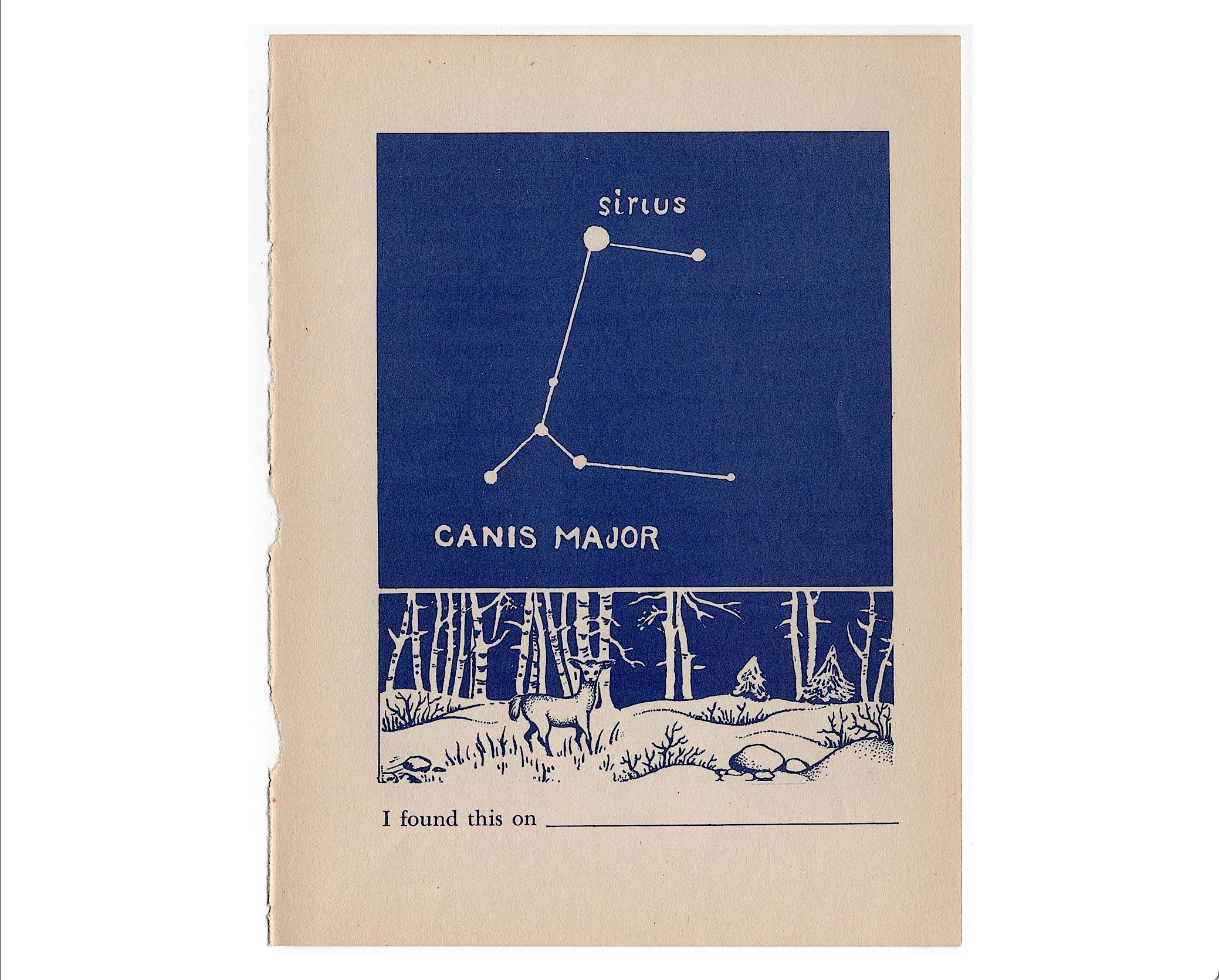 c. 1947 CANIS MAJOR CONSTELLATION print • original vintage print • astronomy wall decor • blue celestial • Solar System • star print • Dog