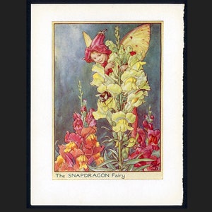 c. 1935 SNAPDRAGON FLOWER FAIRY lithograph • original vintage print • botanical print • flower garden print • yellow flower fairies print •