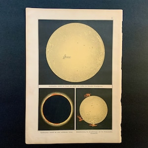 c. 1892 THE SUN lithograph • original antique print • astronomy print • celestial • solar print • solar prominences • solar protuberances