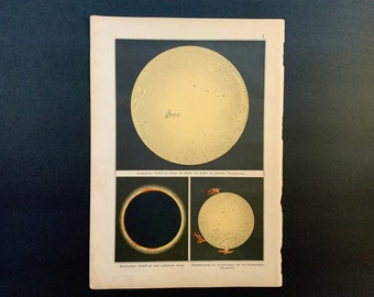 c. 1892 THE SUN print • original antique print • astronomy print • celestial print • solar print • solar prominences • solar protuberances