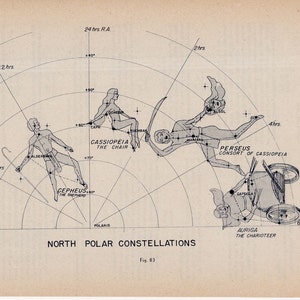 c.1946 CONSTELLATION FIGURES lithografie • originele vintage print • hemelse astronomie - noordpool - cephus cassiopeia perseus auriga