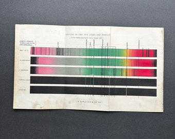 SPECTRA of SUN & STARS lithograph c. 1883 • original antique print • celestial print • astronomy print • color spectra •