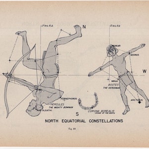 c. 1946 CONSTELLATION FIGURES original Vintage himmlische Astronomie Lithographie - Norden äquatorial - Herkules bootes cygnus lyra vulpecula