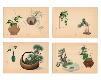 1933 年頃 IKEBANA BOTANICAL リトグラフ • オリジナル ヴィンテージ