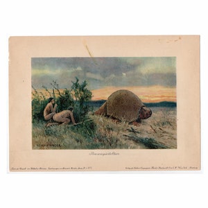 c. 1902 GIANT ARMADILLO lithograph • original antique print • dinosaur • fossil reptile • prehistoric animals • extinct animal • DAMAGED!