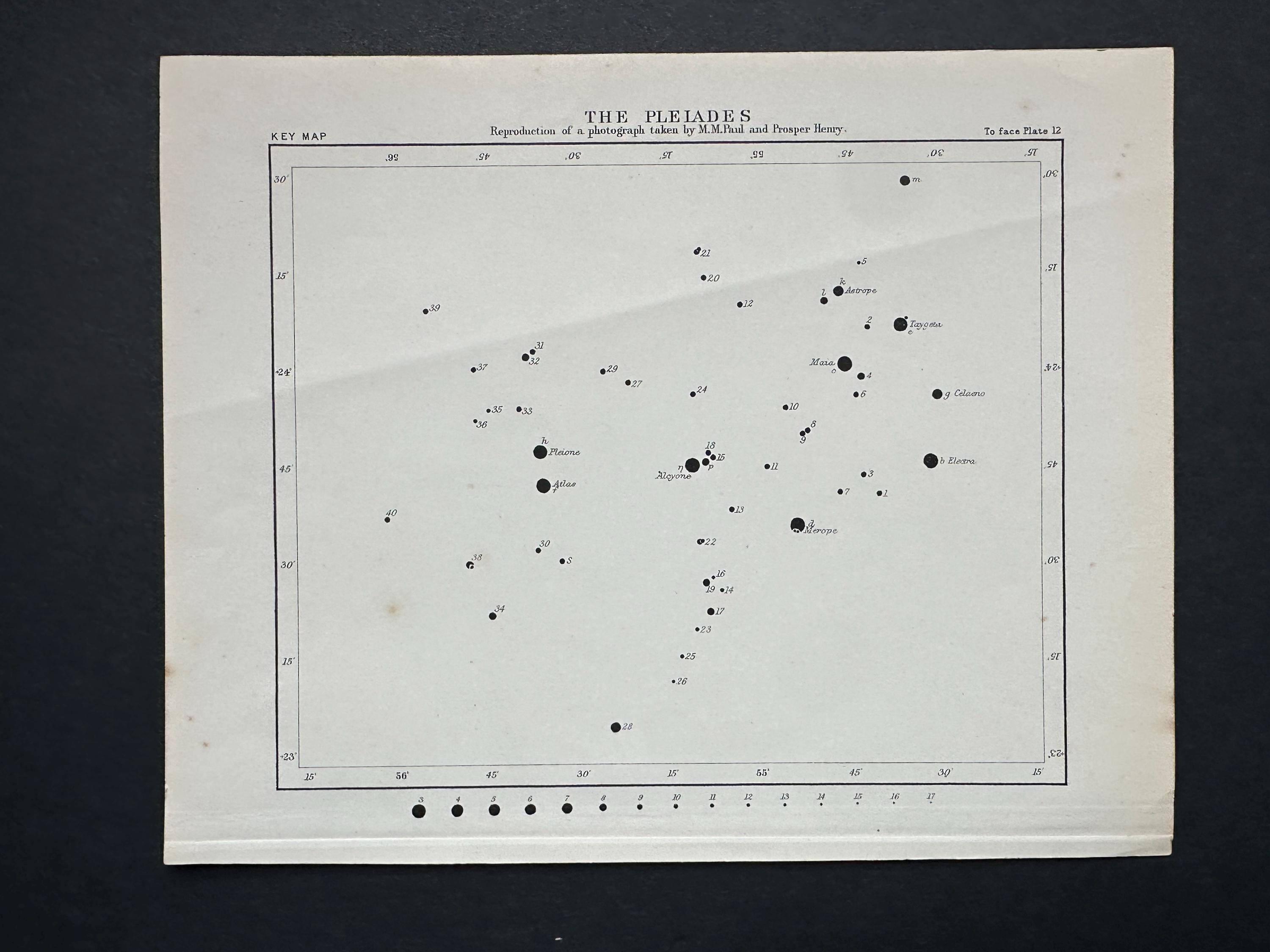 PLEIADES Star Map C. 1910 • Original Antique Print • Astronomy