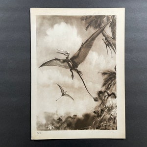c. 1960 PREHISTORIC LANDSCAPE lithograph • original vintage print • extinct animals • dinosaur scene • Jurassic era • Paleo Art • PTEROSAUR