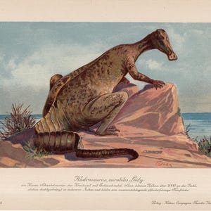 c. 1902 DINOSAUR lithograph - hadrosaurus mirabilis - original antique print - fossil reptiles - extinct animal print - prehistoric animal