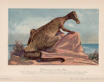c. 1902 DINOSAURIER Lithographie - Hadrosaurus mirabilis - Original Antiker Druck - Fossile Reptilien - ausgestorbener Tierdruck - prähistorisches Tier