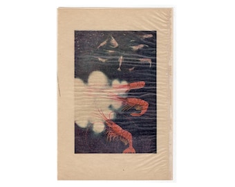 LUMINOUS SHRIMP print c. 1934 - original vintage print • crustacean print - ocean print - sea life print -  luminescent marine life