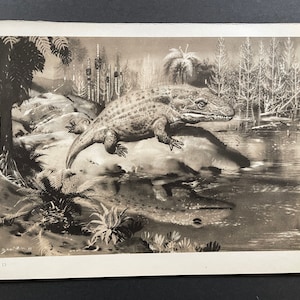 c. 1960 PREHISTORIC ANIMALS lithograph • original vintage print • extinct animals • dinosaur scene • Paleo Art • mastodonsaurus