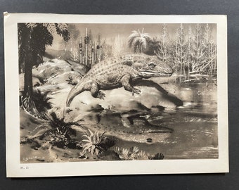 c. 1960 PREHISTORIC ANIMALS lithograph • original vintage print • extinct animals • dinosaur scene • Paleo Art • mastodonsaurus