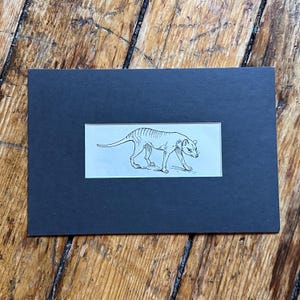 以下が含まれることがあります： 絶滅したフクロオオカミの詳細なイラストが描かれた、黒いフレームに入ったプリント。アートワークは白黒で、明るい背景に配置され、濃い灰色のマットにマウントされています。