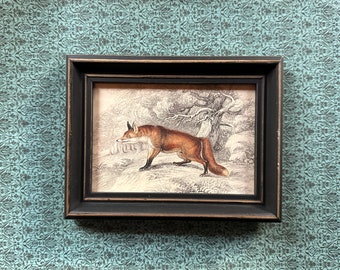 c. 1845 FRAMED FOX engraving • original antique print • fox print • Jardine animal print • hand colored • Reynard print • vulpine