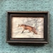 see more listings in the animals • fauna zoology section